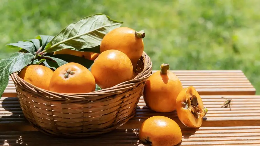 Fruta del níspero en una canasta